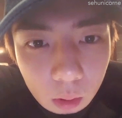 那么以下是动图时间 入坑动图…… 哦莫,是心动的感觉 两个都超可爱