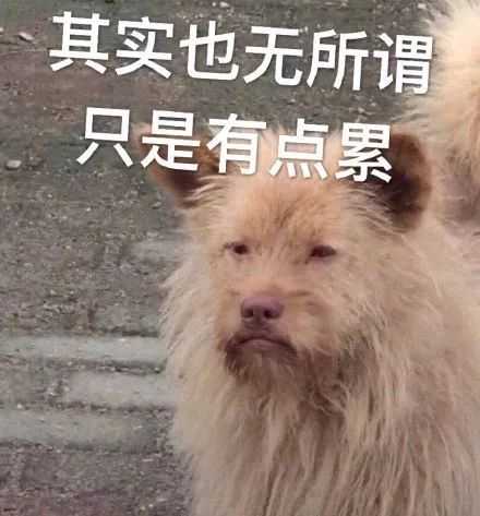 各位有无所谓 也有点累的表情包吗?