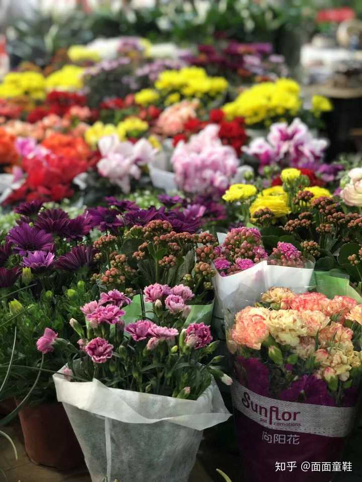买鲜花在哪里买比较便宜