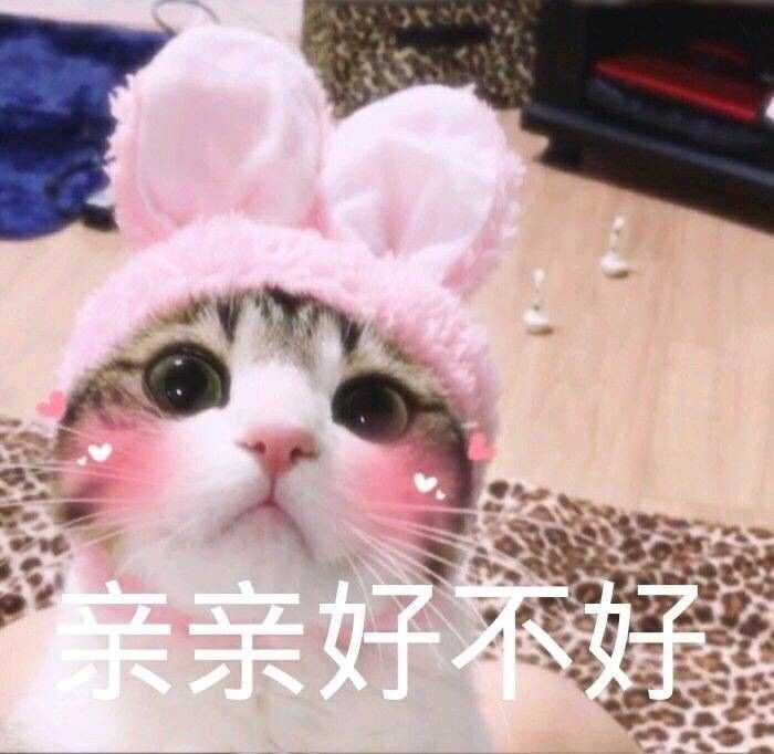 有哪些适合情侣间聊天使用的表情包?