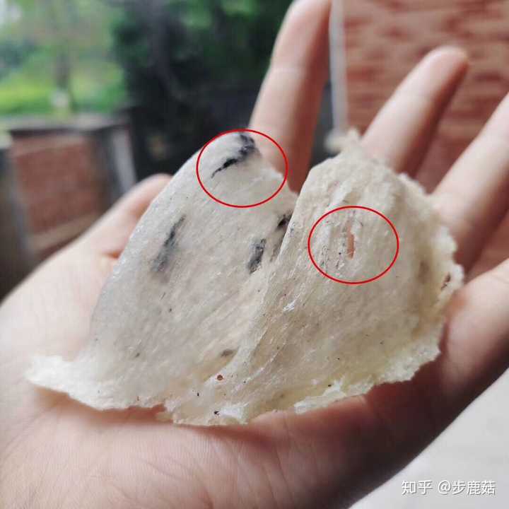 请问这个燕窝怎么样?