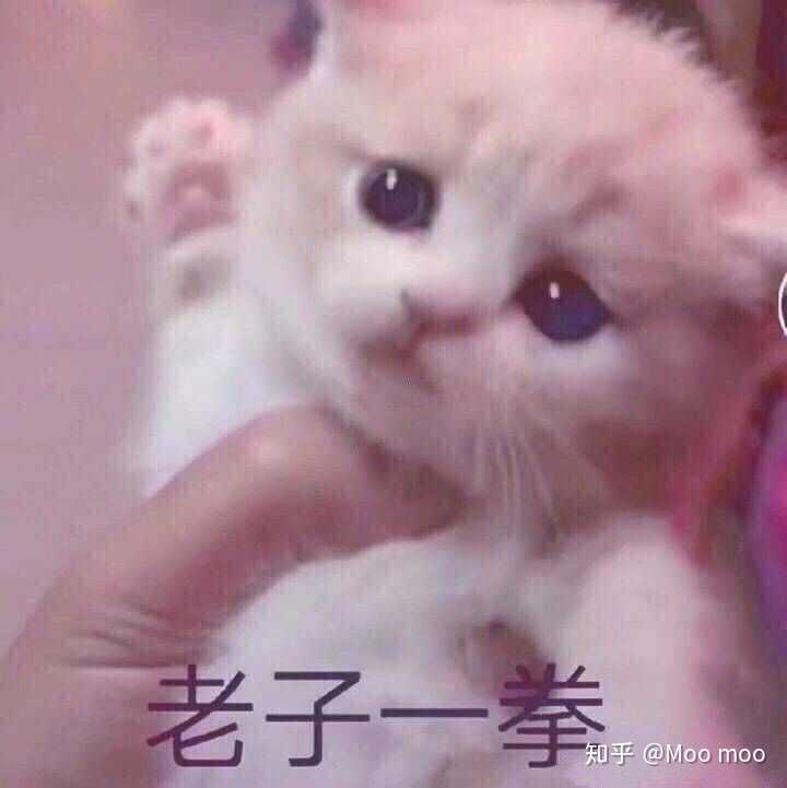 老子一拳要你猪命 生气了,娃哈哈也哄不好的那种!