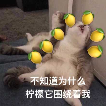 有爱第四点,要亲亲要抱抱要举高高