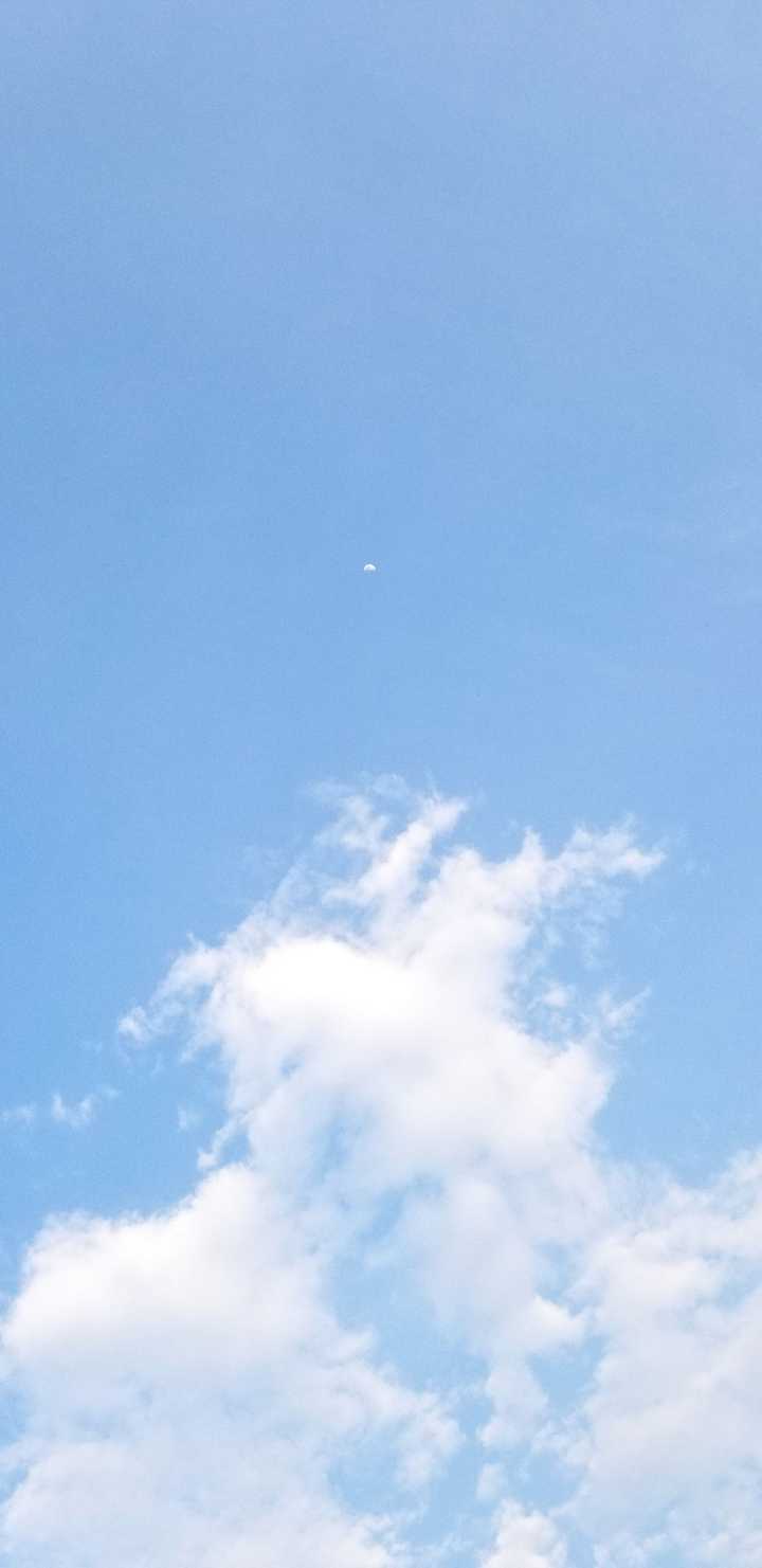 有没有高清的手机屏幕壁纸,简约风格?