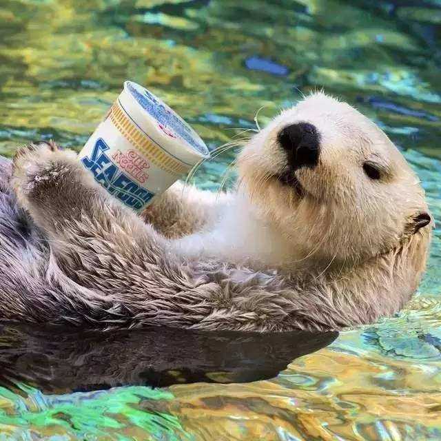 因为世界上有人没饭吃,所以我吃撑了饭也不应该浪费粮食吗?