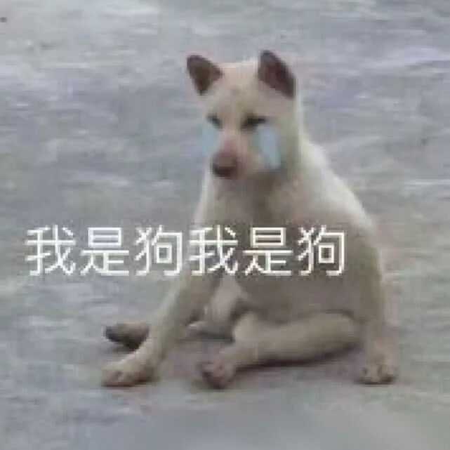 有哪些适合做头像的具有沙雕气质的图片?