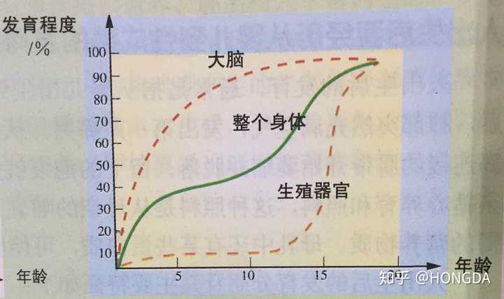 那么根据人的大脑发育曲线(如下图)来看,其实大脑发育趋于完善还是在