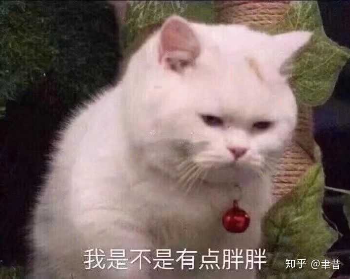 有没有让人一看就忍不住笑的表情包?