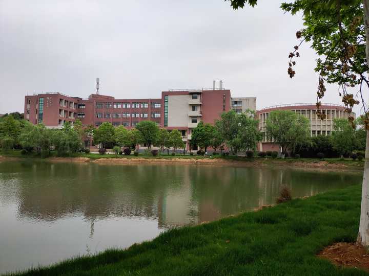 武汉纺织大学哪个校区环境比较好?