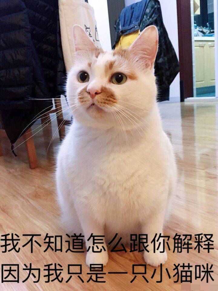 如何证明「你永远不知道你的王者荣耀队友正在干什么」这句话?