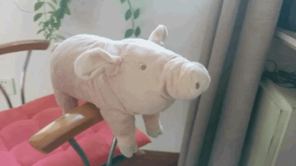 这是我的猪,宜家买的.