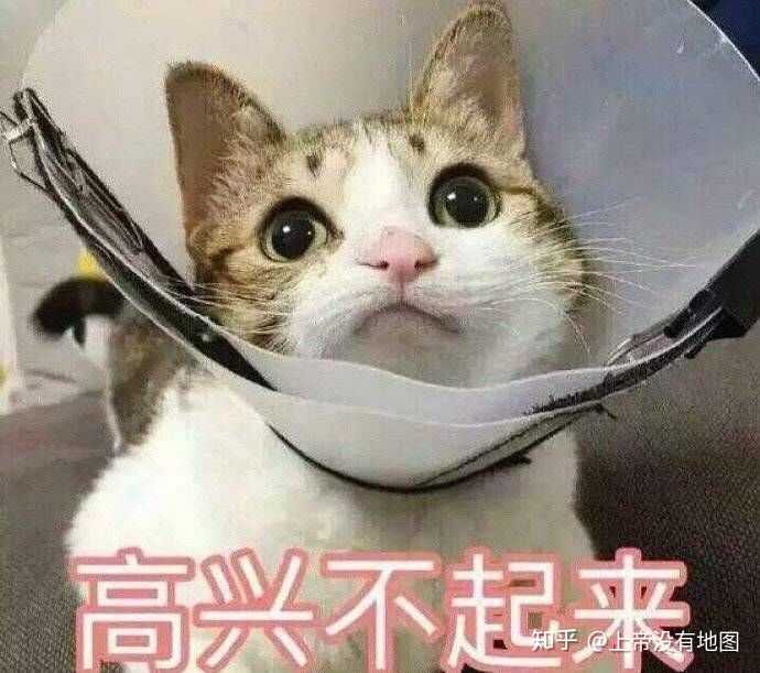 有哪些可以哄男朋友开心的表情包?