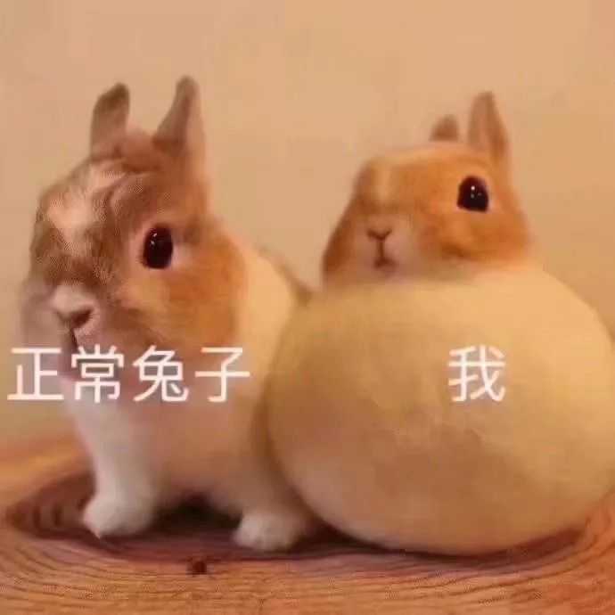 有哪些沙雕可爱的网名,重点在沙雕?