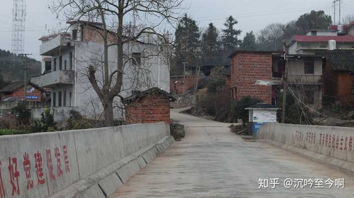 上文是去年寒假参加一个公益组织去郴州市宜章县白石渡镇调研后