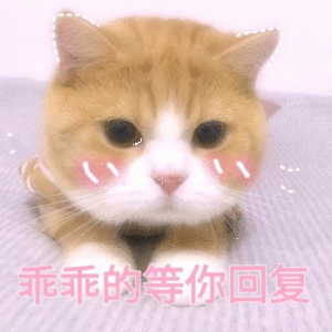 2019.4.