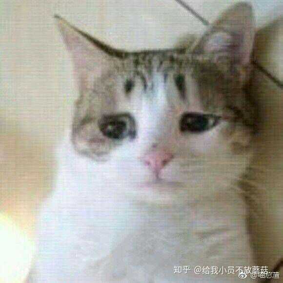 弱小可怜又无助原图图片