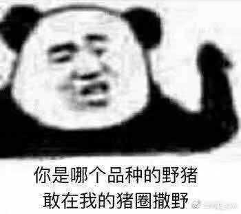 有哪些沙雕表情包?