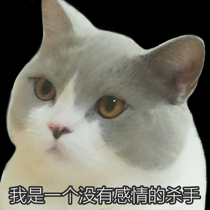 小时候的歪嘴儿 小时候喜欢在跟我一起在枕头上睡觉