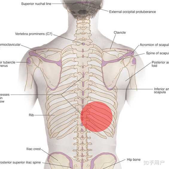 如何看待「上海仁济医院胸科主任与患者起争执,被带走