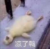 有哪些沙雕表情包?
