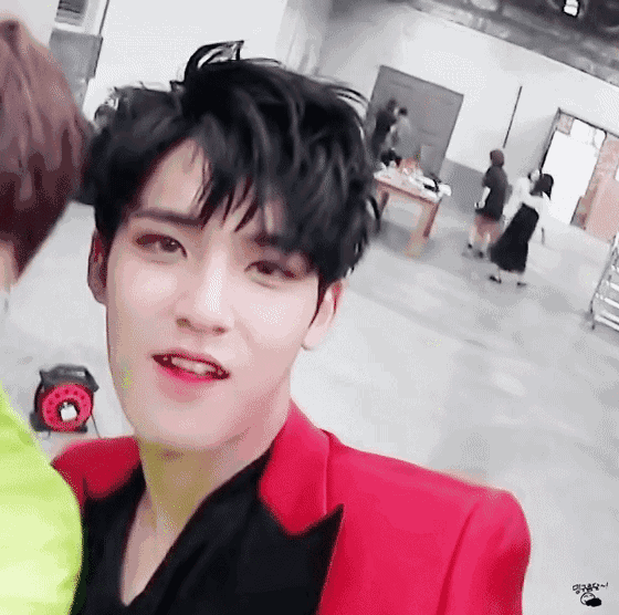 因为什么入坑seventeen?