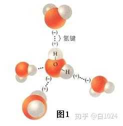 生成"x-h…y"形式的一种特殊的分子间或分子内相互作用,称为氢键