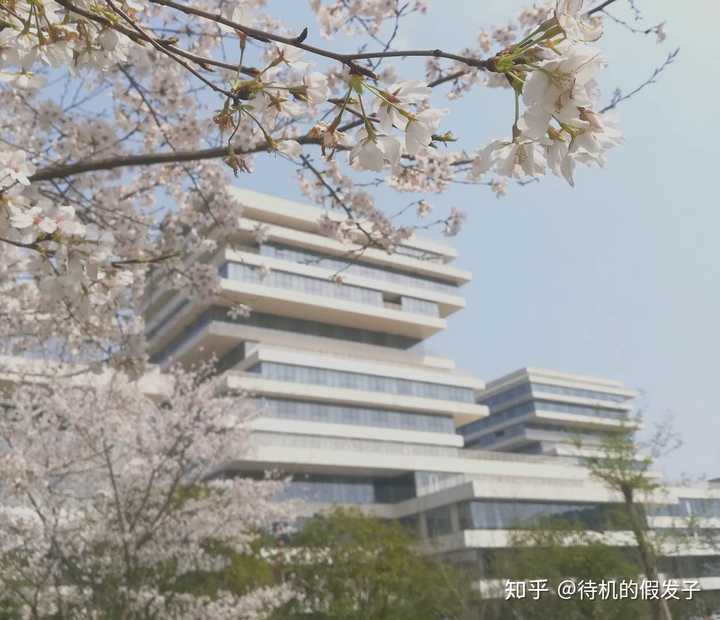 在杭州师范大学(hangzhou normal university)就读是怎样一番体验?