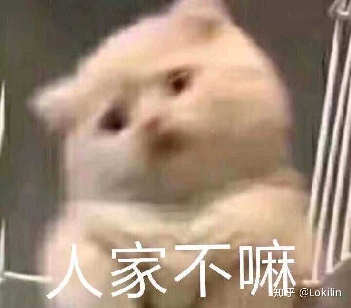 啥类型的表情包都有 可以的话点个赞再走吧 啵啵啵 泻药 作为表情包届
