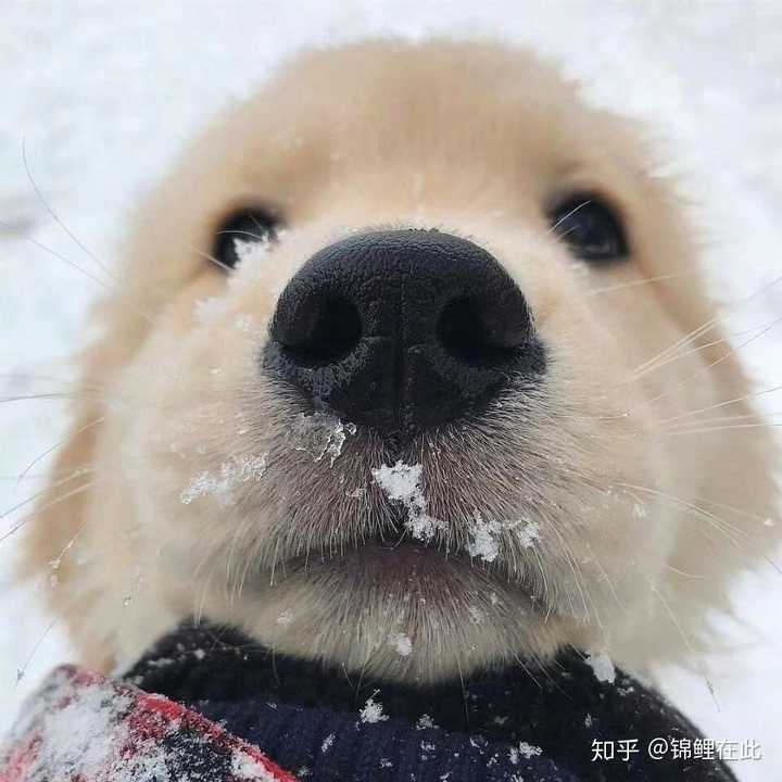 有没有什么让女朋友觉得有威慑力的头像?