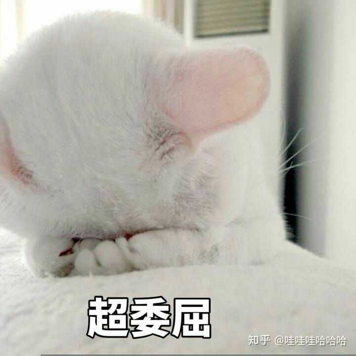 男生哪个瞬间让你心疼?