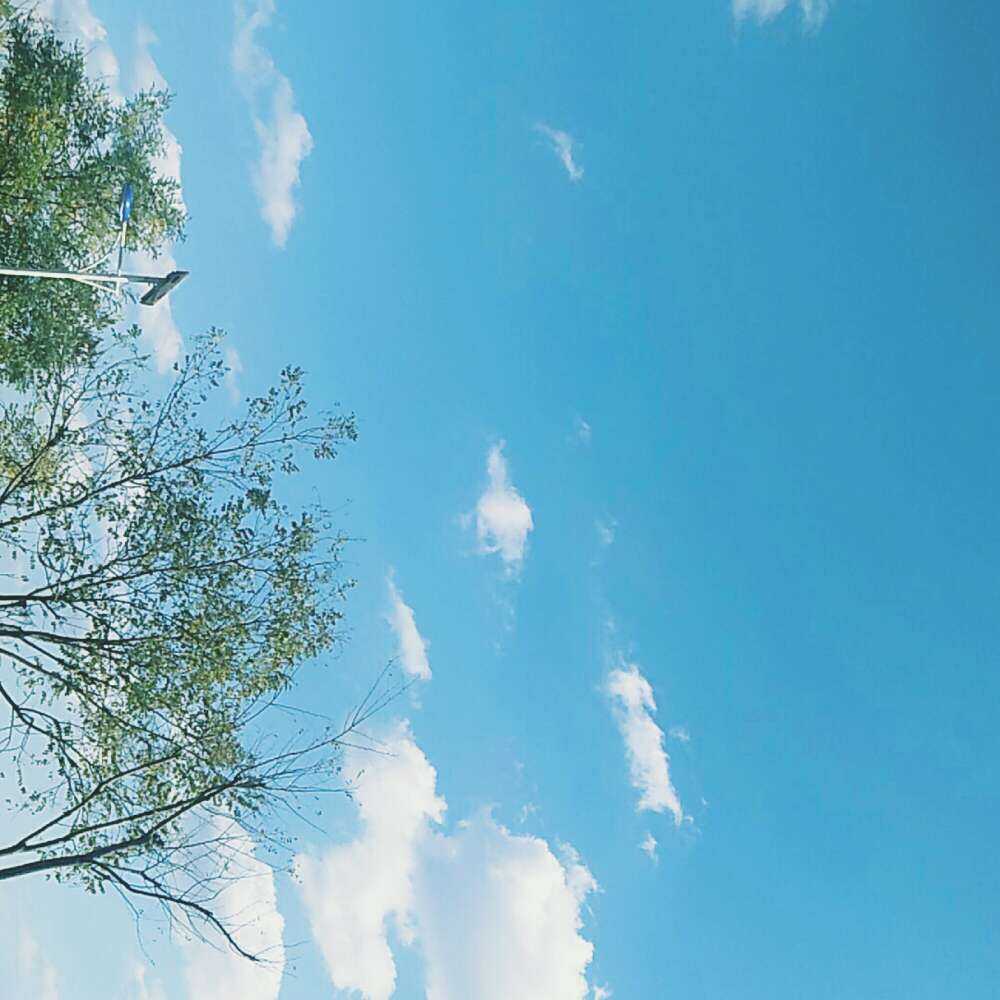 看很多好看的风景, 拍很多好看的照片. 热爱生活,努力生活.
