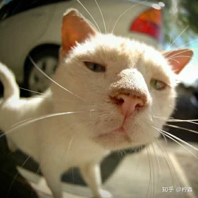 你做过哪些有趣的头像?