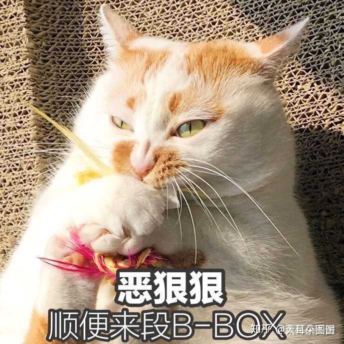 你用过的最沙雕的表情包是什么?