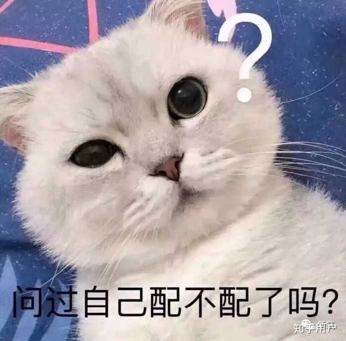 我不配