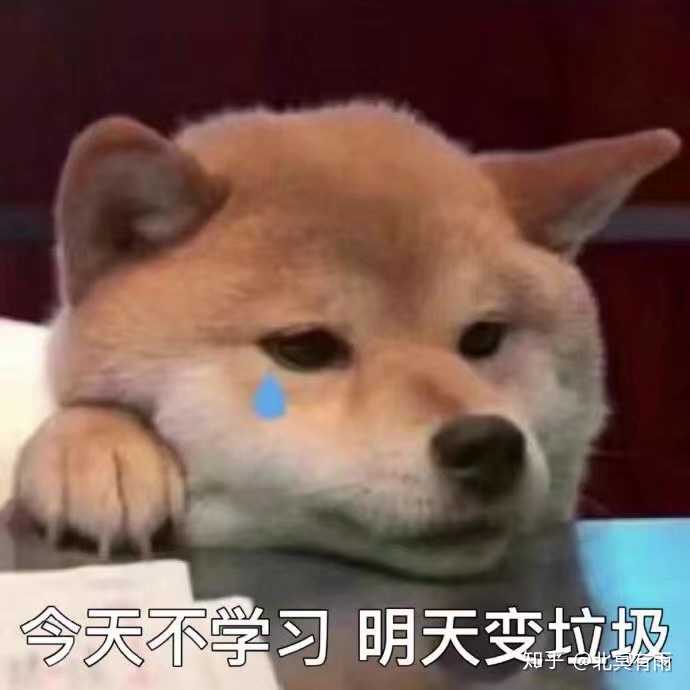你平常聊天会用哪些「可爱沙雕」的表情包?