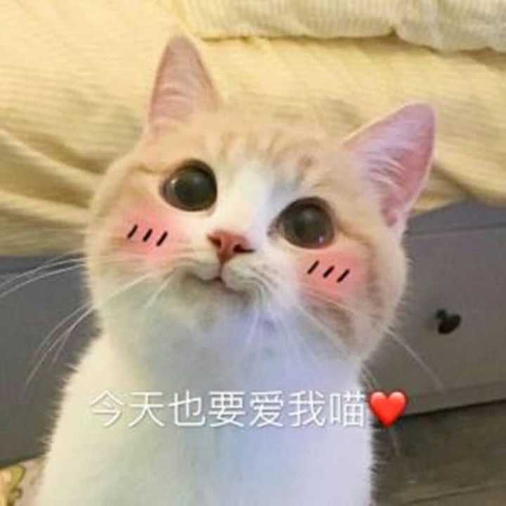 有哪些可以哄女朋友的表情包?