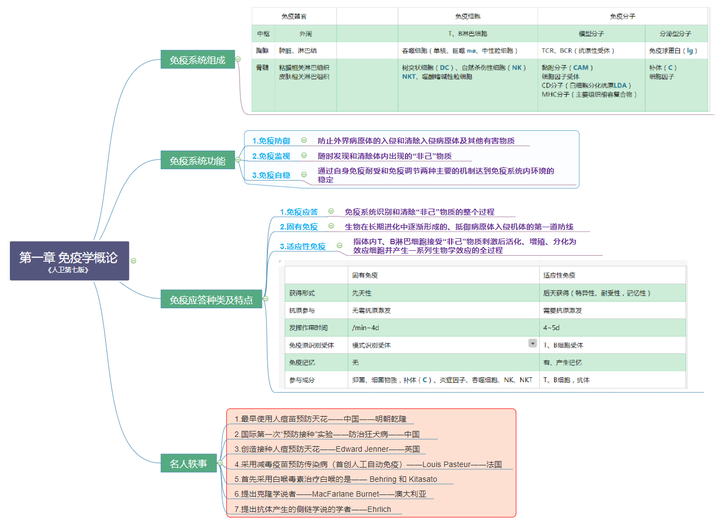 环境设计概论思维导图  海量电子商务概论思维导图高清美图全方面多