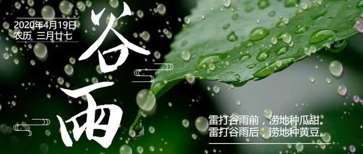 谷雨   雨生百谷