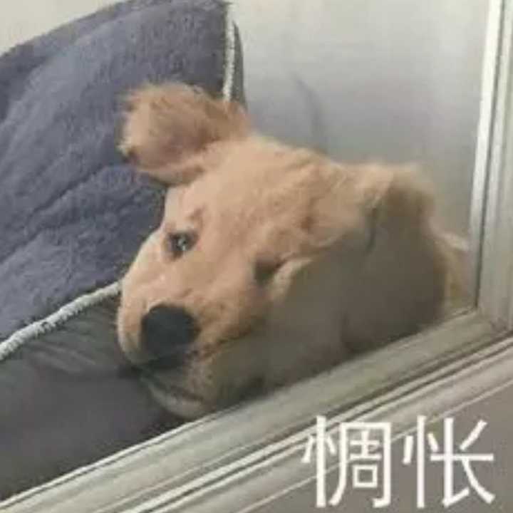 大家半夜饿了都是怎么管住嘴的?
