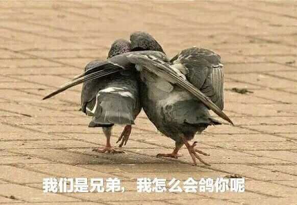 有兄弟有沙雕头像嘛?