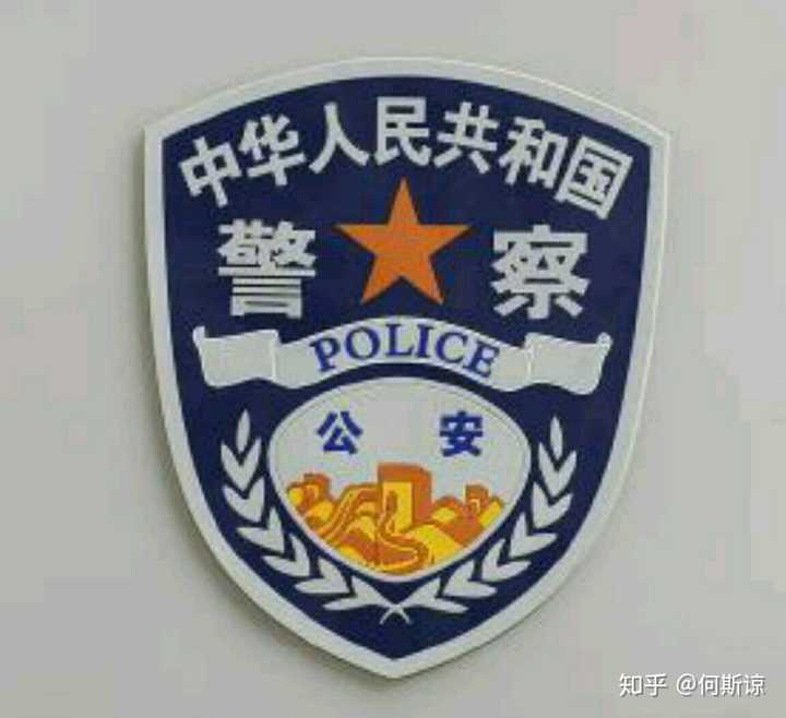 警察代表的是国家公权力,头顶着国徽,身后是国家法律.