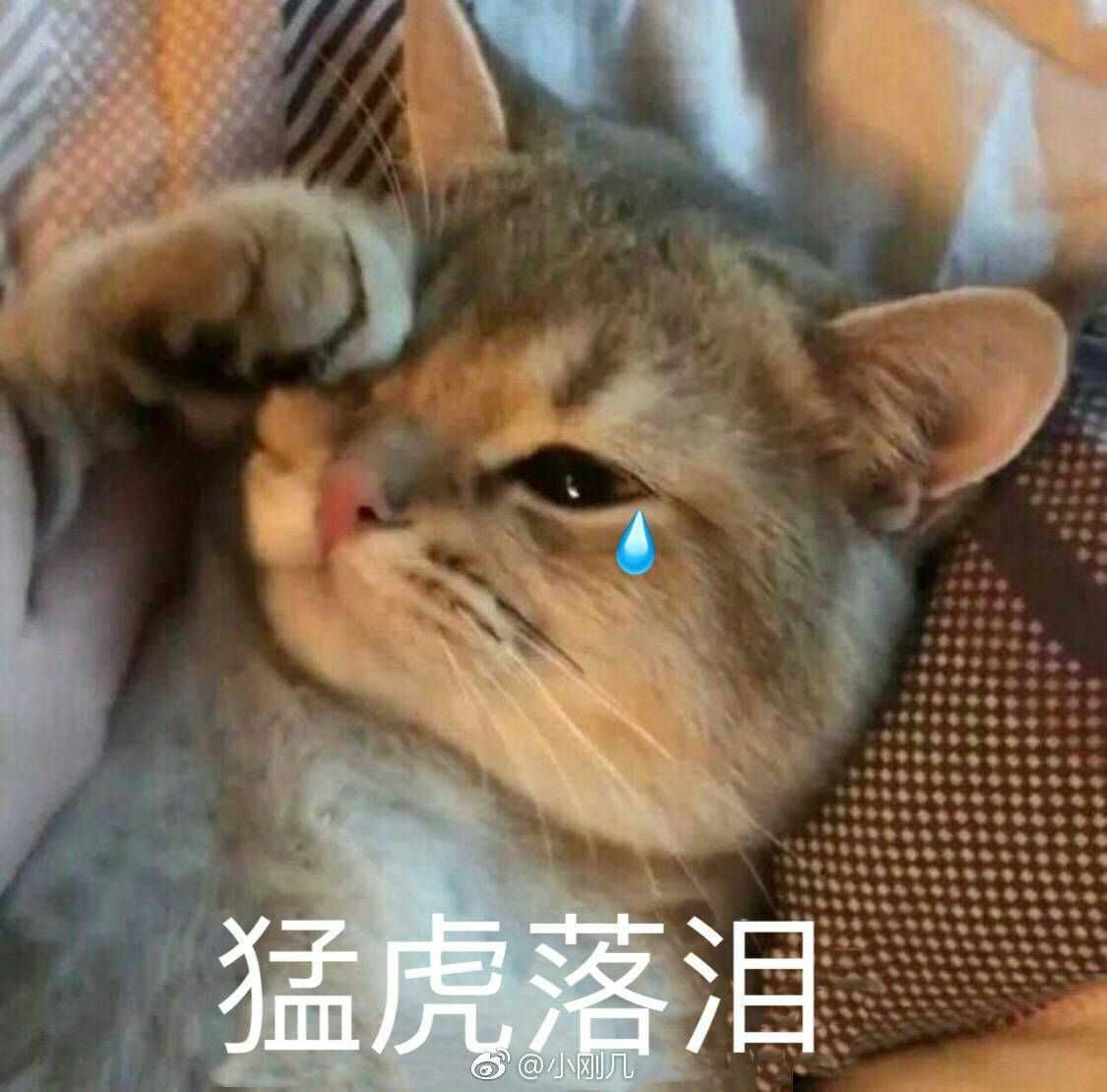 表情包 