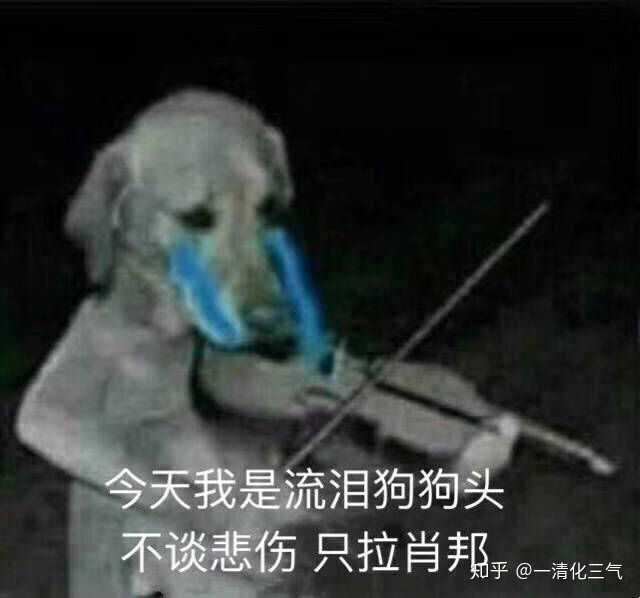 舔狗到底有多么卑微?