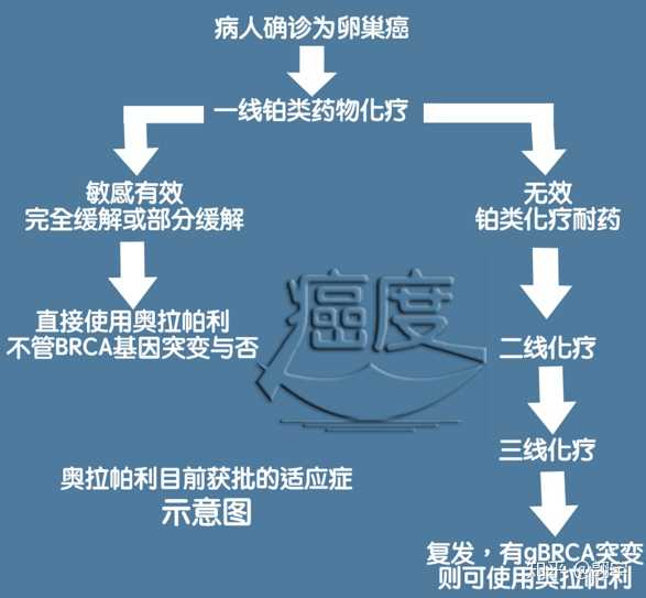 为什么卵巢癌新出来的靶向药,比如奥拉帕尼,尼拉帕利,是以是否铂类