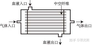 中空纤维膜式氧合器结构