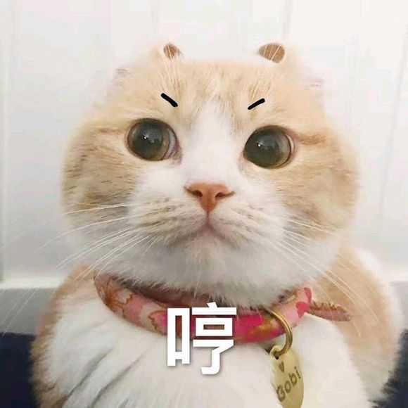 有没有可以给对象发的撒娇的表情包?
