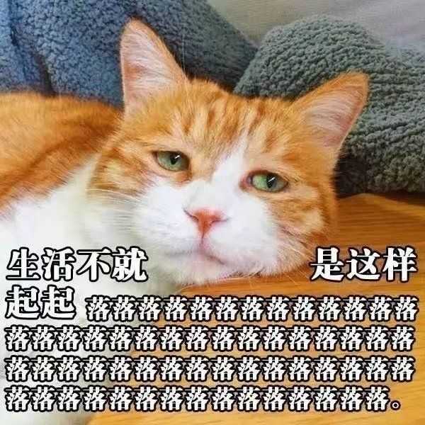 期待搓手手 嗷呜~本表情包大户来了