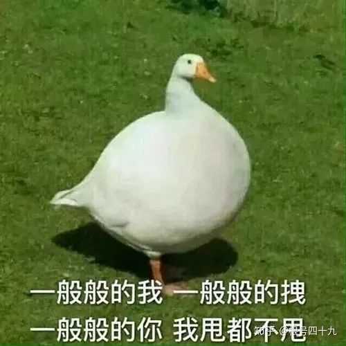 有哪些沙雕表情包?