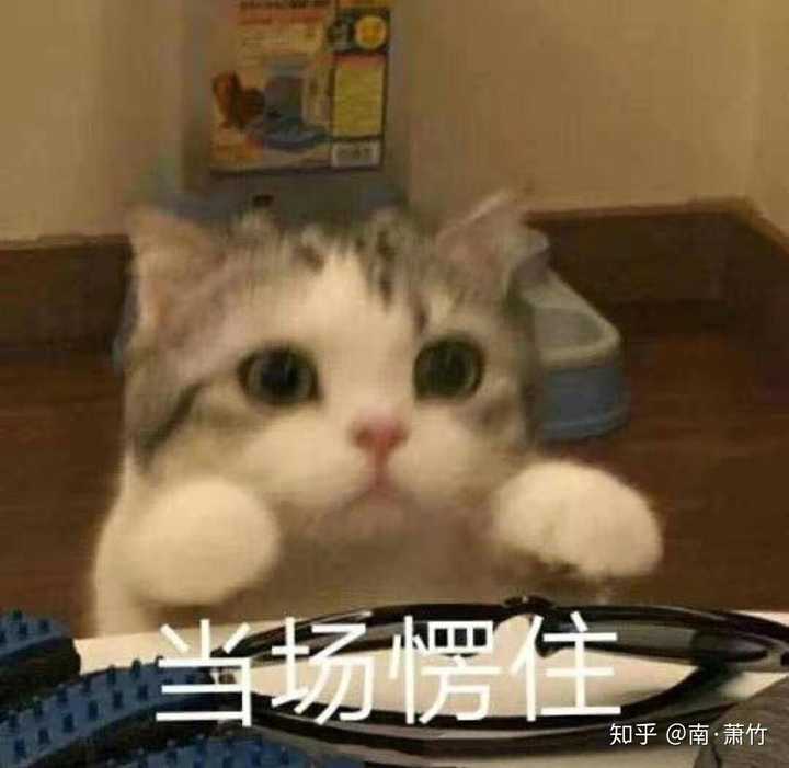 有什么可以回复"抱我"表情包的表情包?