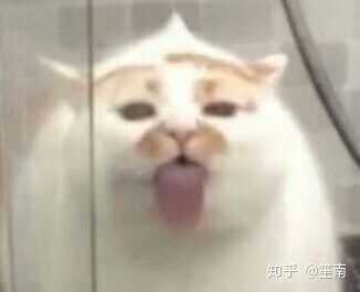 最后是我喜欢的一张图  一开始觉得丑,看多了莫名觉得丑萌丑萌的ヽ()